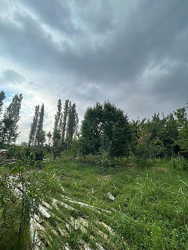 село заречное: 6 соток — 2