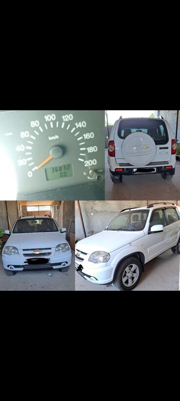 диски на внедорожники: Chevrolet Niva, ağ rəng, 5 qapı, şəhər və yolsuzluq üçün praktik SUV