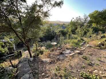 Продажа участков: 6 соток, Для строительства, Красная книга, Тех паспорт, Договор купли-продажи — 5