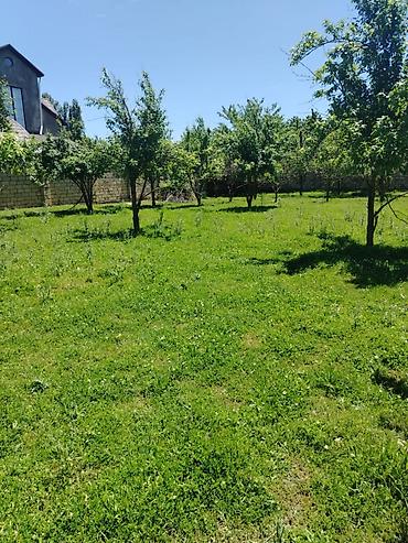 ismayilli torpaq: Quba rayonuna 2 km mesafede Alekseyevka kendinde 4 sot torpaq sahəsi — 1