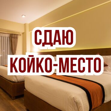 меняю на скот: Подселение! В 10-микрорайоне, сдается 1-о койка место. С ЧЕЛОВЕКА