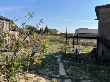 Torpaq sahələrinin satışı: 9 sot, Mülkiyyətçi, Kupça (Çıxarış) — 8