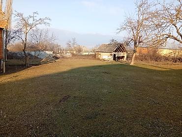 4 otaqli kiraye evler: 20 sot, Tikinti, Barter mümkündür, Kupça (Çıxarış) — 9