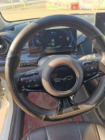 BYD: BYD E2: 2025 г., Автомат, Электромобиль, Хэтчбэк — 7