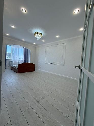 29: 1 комната, 45 м², Технопарк Элитка, 5 этаж, Евроремонт — 1