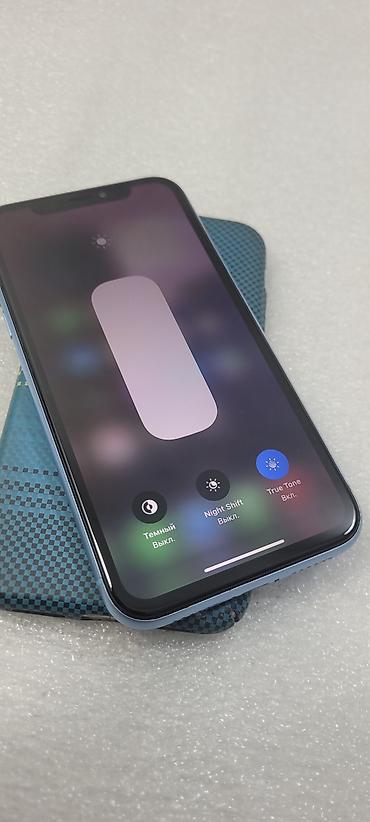 Apple iPhone: IPhone Xr, Б/у, 64 ГБ, Голубой, Чехол, 78 % — 1