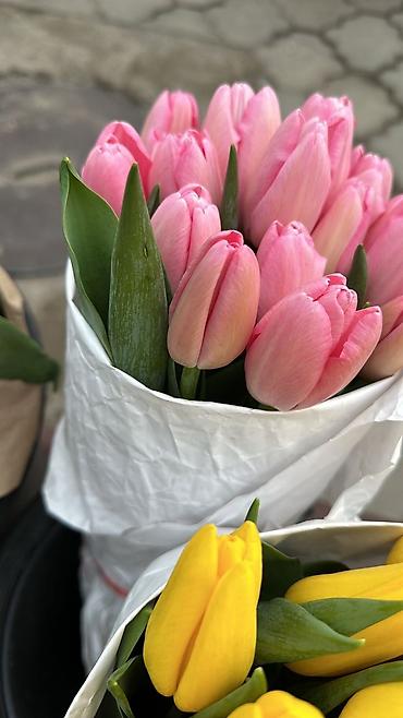 Букеты из живых цветов: Тюльпаны срезанные — букетные сборки. - Варианты окраски: насыщенный — 16