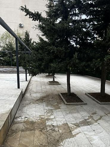 kafe stolari: Açıq hava məkanı – terras/bahçe sahəsi kirayə üçün - Geniş daş — 1