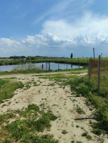 Продажа участков: 600 соток, Для бизнеса, Красная книга — 10