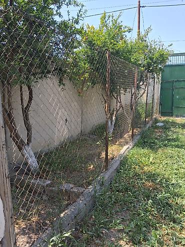 Torpaq: 12 sot, Mülkiyyətçi, Kupça (Çıxarış) — 6