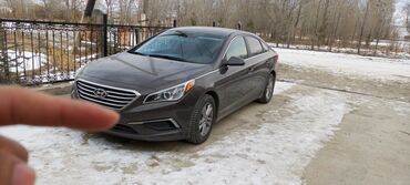 Hyundai: Hyundai Sonata: 2016 г., 2.4 л, Автомат, Бензин, Хэтчбэк