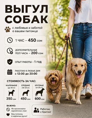 Услуга: выгуливание собак с любовью и заботой о вашем питомце. Что
