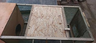 Товары и оборудование для с/х животных: Переносная клетка для цыплят 🔥🔥🔥 Уличный вольер/курятник из дерева с — 6