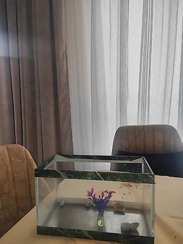 akvarim: Akvaryum dəsti - Material: şüşə korpus, yaşıl mərmər naxışlı çərçivə — 3