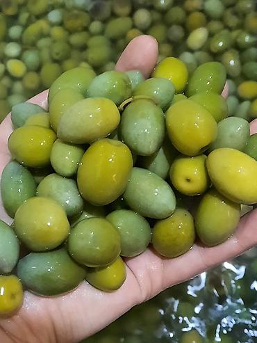 gurcu xengeli satisi: Zeytun turşusu 3kiloluq balonu 8manat — 1