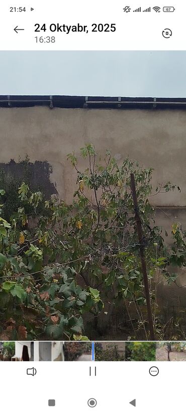 Həyət evləri və villaların satışı: 3 otaqlı, 90 kv. m — 8