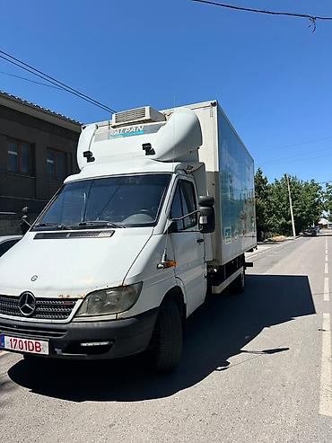 реф фура: Рефрижераторный фургон Mercedes-Benz Sprinter - Изотермический — 1