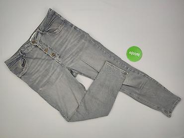 lenar jeansy: Zara, Jeansy damskie, rozmiar 2XL — 2