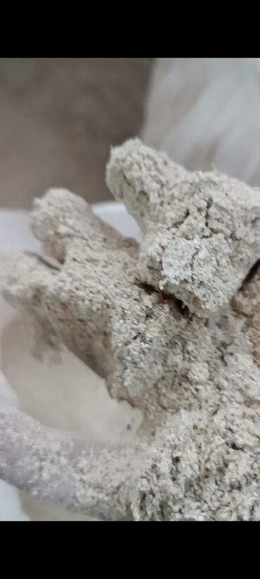 Yem üyüdən aparatlar: Kombayn tipli mobil yem üyüdüb‑qarışdıran qurğu - Traktorun kuyruq — 18