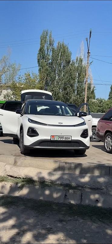 range rower: BYD : 2026 г., Электромобиль, Кроссовер — 1