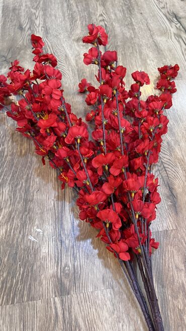 Digər ev dekoru: 10 man baslayan qiymetlerr — 2