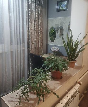 46: 1 комната, 46 м², Кок-Жар мкр Индивидуалка, 1 этаж, Свежий ремонт — 2