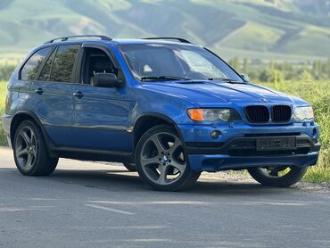 будка авто: BMW X5: 2003 г., 4.6 л, Автомат, Бензин