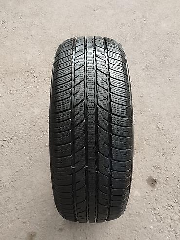 Шиналар 195 / 60 / R 15, Кыш, Колдонулган, 1 даана, Жеңил унаалар, Кытай, ZEETEX lalafo.kg да Шиналар 195 / 60 / R 15, Кыш, Колдонулган, 1 даана, Жеңил унаалар, Кытай, ZEETEX