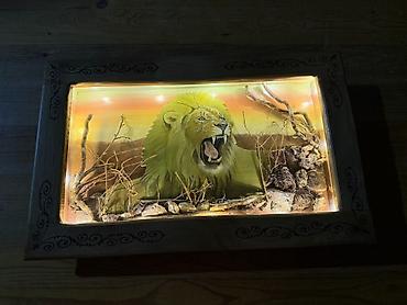 diorama: Unikal dekorativ işıqlandırılan tablo – “Şir” mövzulu diorama - — 3