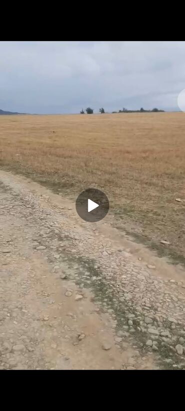 Tikinti, Mülkiyyətçi, Kupça (Çıxarış)