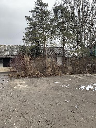 Продажа участков: 11 соток, Для бизнеса, Красная книга, Тех паспорт — 8