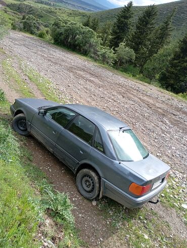 Audi 100: 1991 г., 2.3 л, Механика, Бензин, Седан