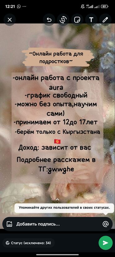 работа онлайн без опыта для студентов: Предлагается онлайн-работа для подростков в проекте "Aura" со
