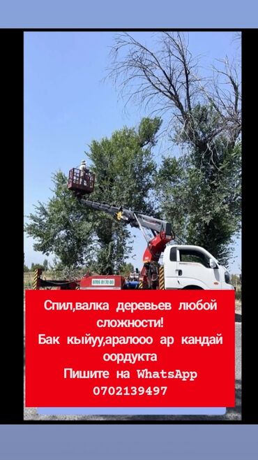 Спил деревьев, заготовка дров: Услуги по спилу и валке деревьев любой сложности. Что выполняем: -