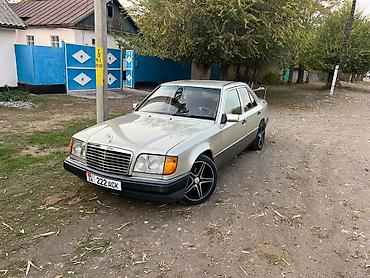 mers 814: Mercedes-Benz W124: 1993 г., 2.5 л, Механика, Дизель — 2