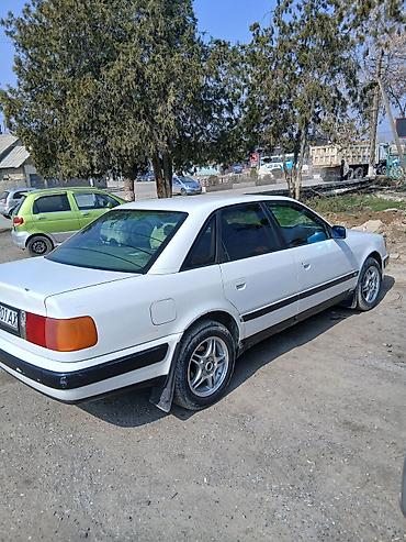 Audi: Audi 100: 1992 г., Седан — 4