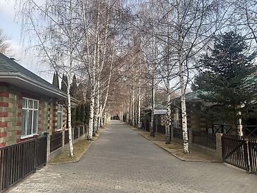 Продажа квартир: 1 комната, 50 м² — 20