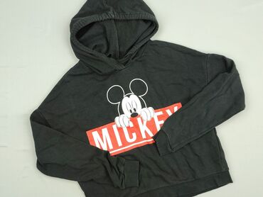 miu miu t shirty: FB Sister, Women`s hoodie, size S (EU 36)