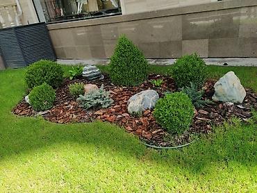 Другие услуги: Озеленение Участков с нуля и под ключ. Автоматические системы полива — 4