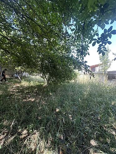 пл: 6 соток, Для строительства, Красная книга — 4