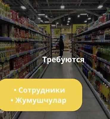 Промоутеры: Вакансия: сотрудники в продуктовый магазин Описание работ: - Выкладка — 1
