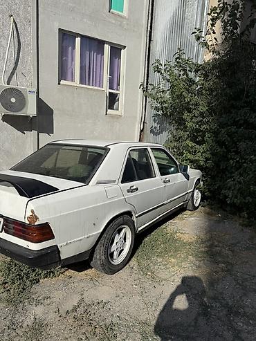 мб 190: Mercedes-Benz 190: 1988 г., 2 л, Механика, Дизель, Седан — 5