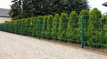 Proizvodi od rolovanog metala, metalni kanali: Panel 2d 103x250 6/5/6 mm. Panelna ogradafence system — 6