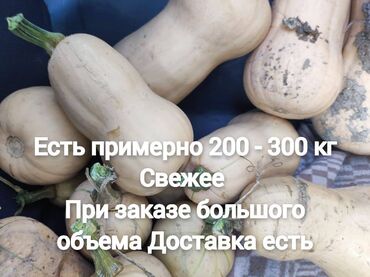 бассейн оптом: Есть примерно 200 - 300 кг Свежее Приза заказе большого объема