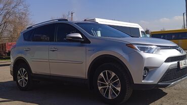 Toyota: Toyota RAV4: 2016 г., 2.5 л, Типтроник, Гибрид, Внедорожник