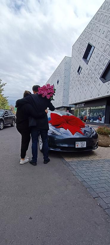 Организация мероприятий: Организация мероприятий | Гелевые шары, Ведущий, тамада, Аниматоры — 20