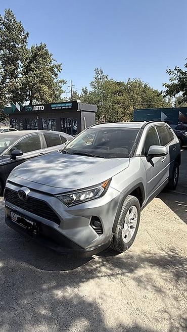 опа: Toyota RAV4: 2020 г., 2.5 л, Автомат, Бензин, Кроссовер — 1