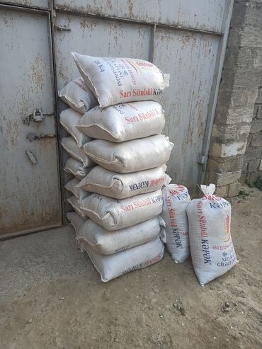 Peyin: Toz halinda mal peyini - kisesi 2,60 q. ( boyuk kepek kisesinde) — 4