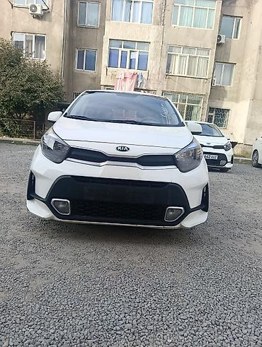 byd leopard 5: Kia Picanto: 2021 г., 1 л, Автомат, Бензин, Хэтчбэк — 3