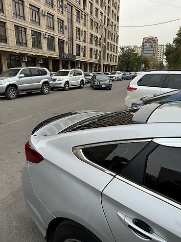 спойлер на соната: Задний спойлер Hyundai 2019 г., Новый — 2
